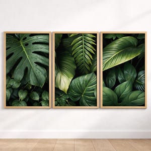 Könnte beinhalten: Drei gerahmte botanische Drucke mit üppigen grünen Blättern. Die Drucke zeigen eine Vielzahl tropischer Blätter, darunter große Monstera-Blätter mit Wassertropfen, Farne und andere breitblättrige Pflanzen. Die Rahmen sind hellholzfarben.