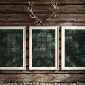 Könnte beinhalten: Drei gerahmte Drucke mit einer Waldszene, die an einer rustikalen Holzwand ausgestellt sind. Die Drucke haben einen weißen Rand und einen natürlichen Holzrahmen. Über den Drucken befinden sich Hirschgeweihe. Der Boden besteht aus Holz und kleinen Steinen.