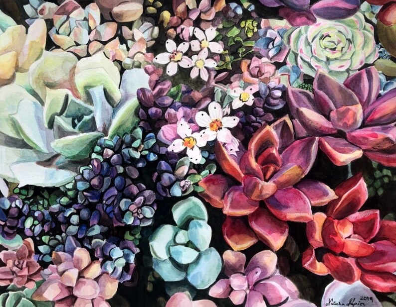 Succulents Original Painting /& Prints Watercolor
