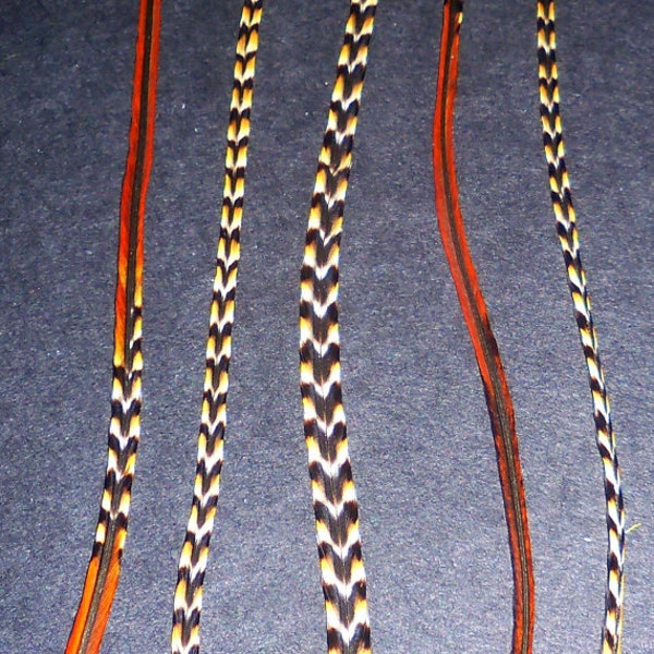 5 Whiting Farms Long Cree Variant Grizzly Hair Feather Extensions