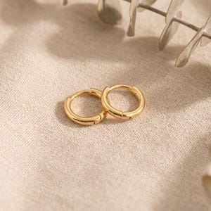 Könnte beinhalten: Zwei goldfarbene Creolen. Die Ohrringe sind klein, rund und haben ein schlichtes Design. Sie liegen auf einer beigefarbenen Stoffoberfläche, mit ein paar grünen Blättern im Hintergrund. Die Ohrringe sind aus glänzendem Metall.