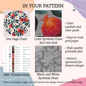 May include: A cross-stitch pattern guide featuring a pomegranate design. It includes a one-page chart, a color symbols chart with a 3x3 mm grid, a DMC thread color key, and a black and white symbols chart. Text includes IN YOUR PATTERN and features.