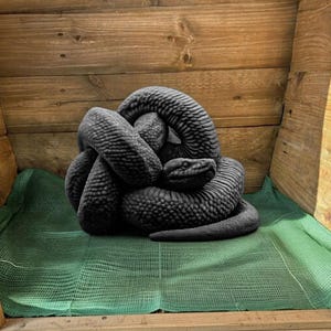 May include: A dark charcoal gray sculpture of a coiled snake with a highly detailed, textured scale pattern covering its entire body. The snake is positioned in a tight, overlapping knot with its head resting prominently on the upper coil.