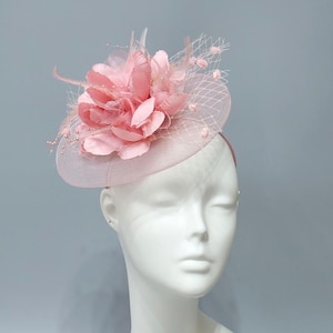 Pink Birdcage Hat - Etsy display picture 2