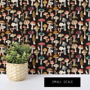 SAMPLE Vintage Botanical Drawer Liner/Wallpaper, 'Mushies' Peel & Stick Self Adhesive Paper or Smooth Pre-Pasted Wallpaper, Sustainable DIY