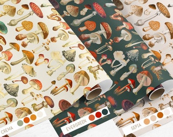 May include: Four rolls of patterned paper featuring vintage illustrations of various mushrooms in shades of brown, red, and cream. The rolls are labeled "Crema", "Evergreen", and "Sepia". The text at the bottom says "COLOURS SHOWN HERE ARE JUST A FEW EXAMPLES - CUSTOM COLOURWAYS ARE POSSIBLE."