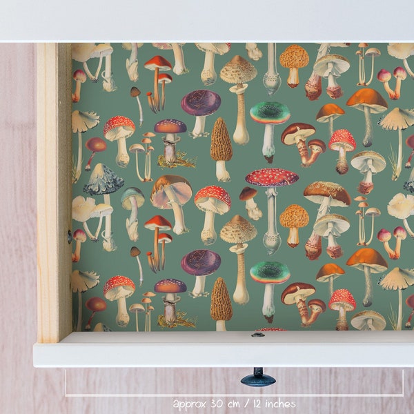 Woodland Mushroom 'Dusty Green' Drawer Liner // Peel & Stick Self Adhesive Paper or Smooth Pre-Pasted Eco Safe Wallpaper 3-6-9-12ft L Rolls