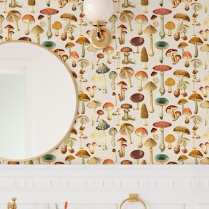 Toadstools Vintage Botanical Drawer Liner 'Cream' // Peel & Stick Self Adhesive Paper OR Smooth Pre-Pasted Wallpaper 3-6-9-12ft L Rolls