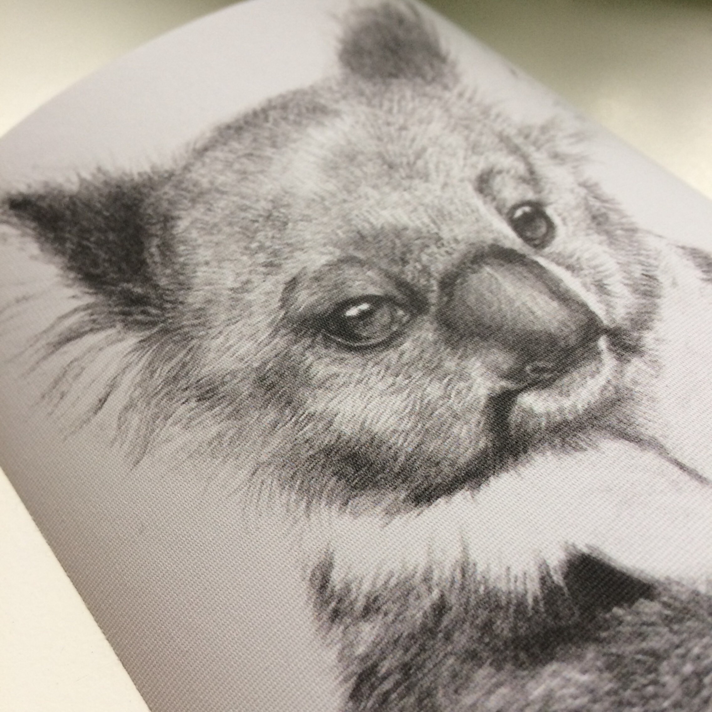 Baby Koala Wall Decal Peel and Stick. Nursery Decor by Etsy