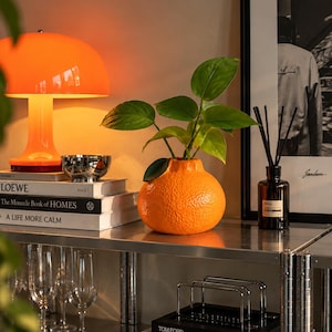 May include: A bright orange, textured ceramic vase shaped like a citrus fruit holds a green leafy plant. It sits on a metal shelf next to a stack of books labelled LOEWE, The Monocle Book of HOMES, and A LIFE MORE CALM, plus a reed diffuser.