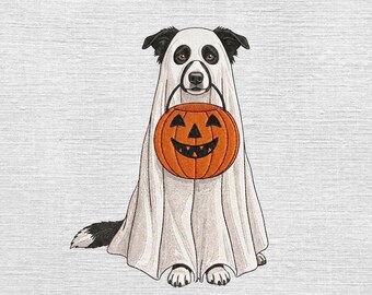 Border Collie Ghost Embroidery Designs, Halloween Dog Embroidery File, Ghost Dog Pumpkin Embroidery, Trick Or Treat Pet Pes Dst, 5 sizes