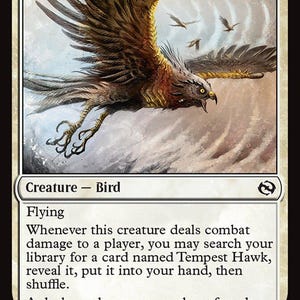 Mtg Tempest - Etsy Mtg Tempest - Etsy