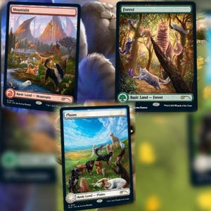 Custom TCG Card Raining Cats & Dogs Basic Lands - Proxy, Sleeve Ready!