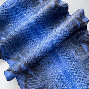 May include: A sheet of blue snakeskin with a scale pattern. The leather displays a vibrant blue colour with darker blue and black accents, creating a textured and patterned surface. The material is folded, revealing its underside.