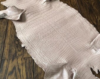 Ganze Alligator Verstecken | Hellbeige Matte Haut | Voll Ungebleicht Gegerbt | für Handwerkskunst oder Hersteller