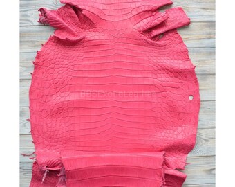 Whole Alligator Hide | Flamingo Pink Matte Skin | Full Unbleached Tanned | for Craftsmanship or Manufacturer