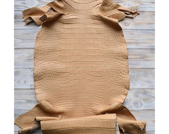 Whole Alligator Hide | Camel Tan Matte Skin | Full Unbleached Tanned | for Craftsmanship or Manufacturer