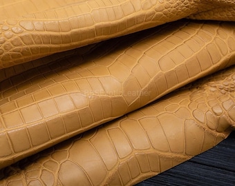 Whole Alligator Hide | Honey Tan Matte Skin | Full Unbleached Tanned | for Craftsmanship or Manufacturer