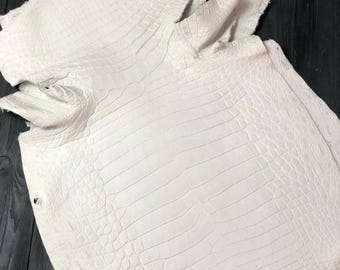 Whole Alligator Hide | Snow White Matte Skin | Full Unbleached Tanned | for Craftsmanship or Manufacturer