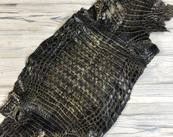 Hele krokodillenhuid | Antiek zwartgouden huid | Volledig gebleekt gebruind | voor vakmanschap of fabrikant: