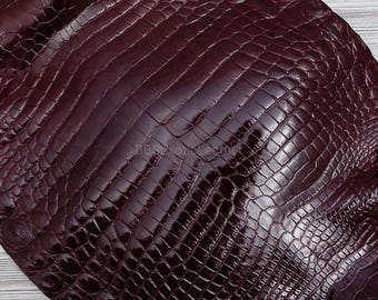 Piel de caimán entera / Piel brillante color sangre de buey / Curtida completamente blanqueada / Para artesanía o fabricación