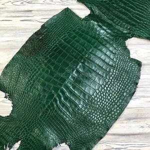 Könnte beinhalten: Nahaufnahme einer dunkelgrünen, krokodiltexturierten Lederplatte. Das Leder hat eine glänzende Oberfläche und ein detailliertes, schuppenartiges Muster. Die Kanten des Leders sind uneben und zeigen die natürliche Form des Fells. Der Hintergrund ist eine helle Holzmaserung.