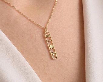 Collana con cartiglio personalizzato in argento sterling 925 / Collana con nome geroglifico / Collana con nome egizio / Gioielli con geroglifici / Collana con nome segreto