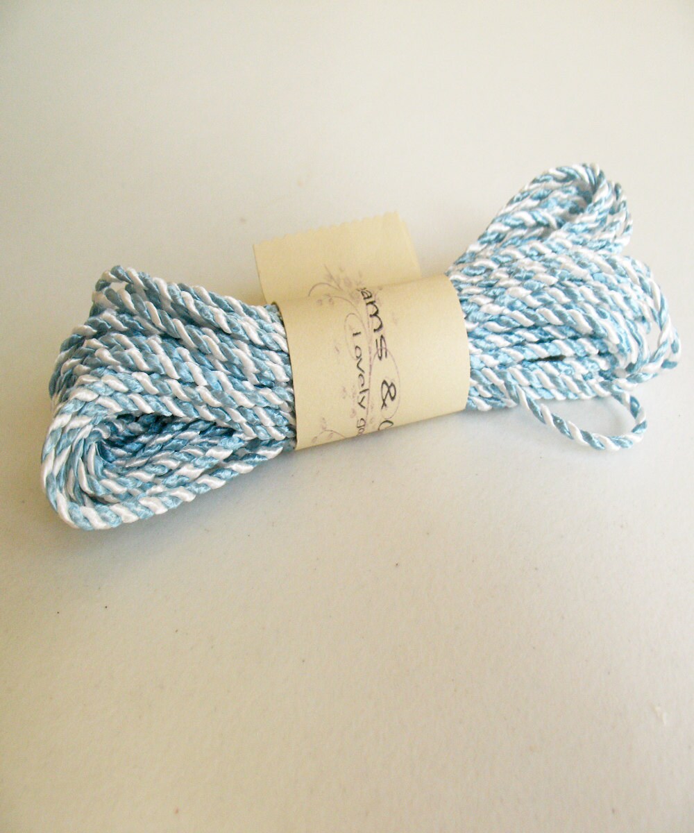 1yd twine Blue with White cord Bright and Silky Twine Cord Etsy