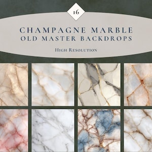 May include: A collection of 16 high-resolution digital backdrops featuring champagne marble patterns. The images display various stone textures with veins in shades of white, beige, gray, blue, and pink, labeled as Champagne Marble Old Master Backdrops.
