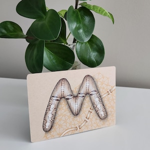 May include: A beige card displays a detailed, brown and white letter "M" with intricate patterns. The card is set against a white surface, with a green plant in a glass vase in the background. The design has a handcrafted aesthetic.