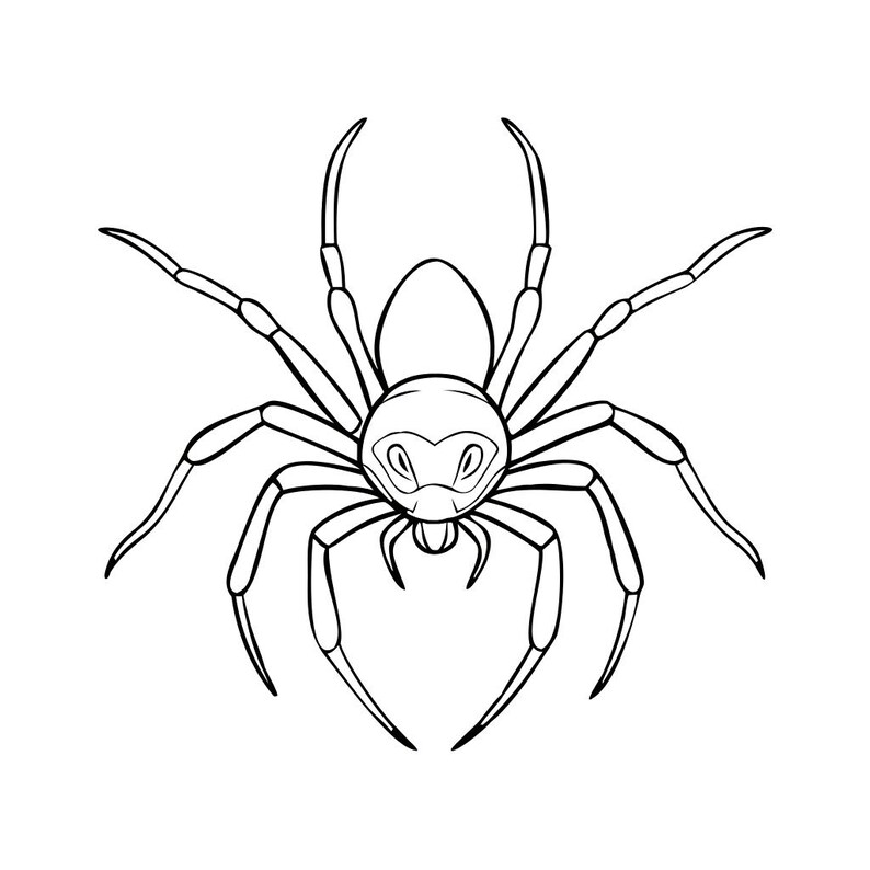 Spider SVG PNG | Minimalist Black Cut File for Cricut Silhouette Loklik ...