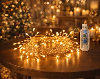 USB Firecracker String Lights, Remote Control Fairy Lights, Party Wedding Decor (3M/6M/9M)