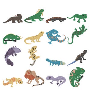 Puede incluir: Una colección de ilustraciones de estilo caricatura coloridas de varios lagartos y reptiles. La imagen presenta una variedad de especies, incluyendo iguanas, gecos y camaleones, en tonos de verde, amarillo, azul y marrón.