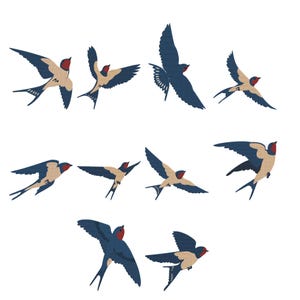 May include: A collection of ten illustrations of swallows in various stages of flight. The birds have navy blue wings, tan bodies, and red heads. The swallows are depicted against a white background, with some wings spread and others folded.