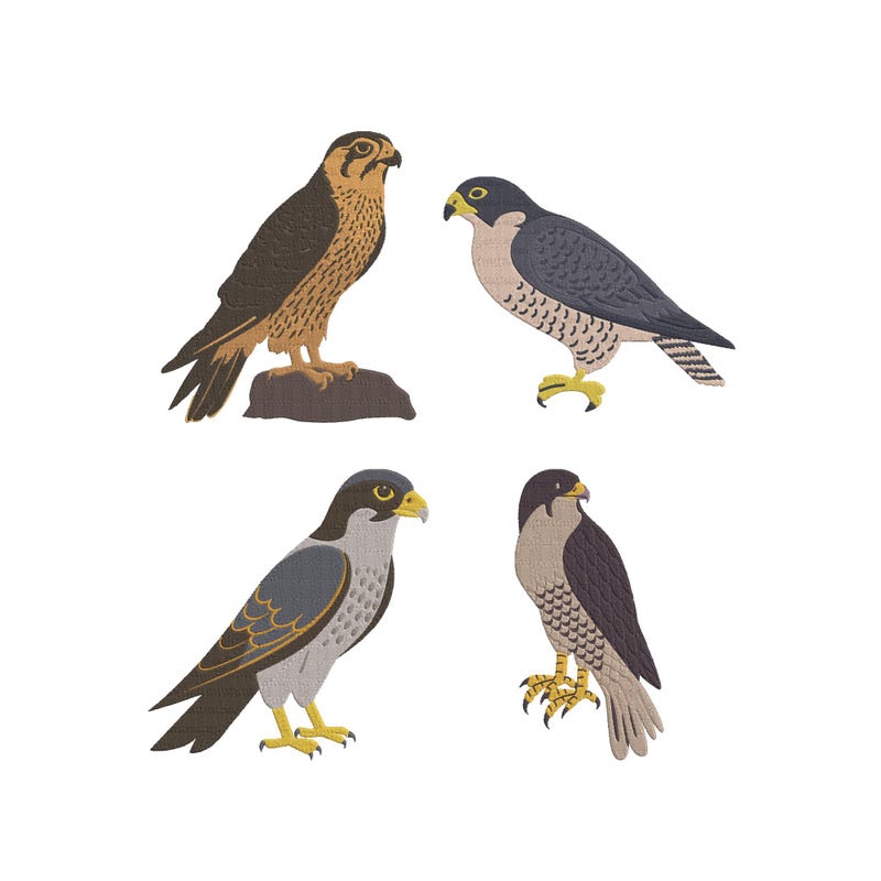 Falcon Embroidery Design - Etsy