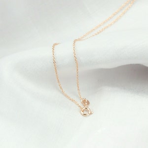 May include: A delicate gold chain necklace with a lobster clasp closure. The chain is made of a fine, linked design.