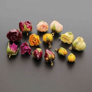 5Pcs 15-20MM Real Red Yellow Beige Pink Preserved Dry Rose Flower with Epoxy Filled DIY Earrings Charm Supplies 1800397