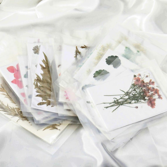 Pressed Flower Jar | Pressed Flower Crafts, Flowers N Jars, Pressed