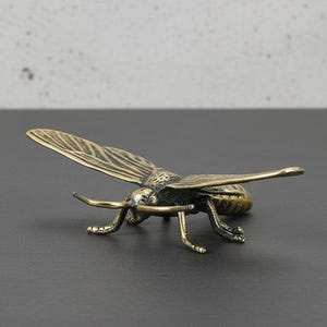 May include: A detailed brass insect sculpture with outstretched wings and intricate detailing. The sculpture is a golden-brown color and sits on a dark surface. The insect's legs and antennae are clearly visible.