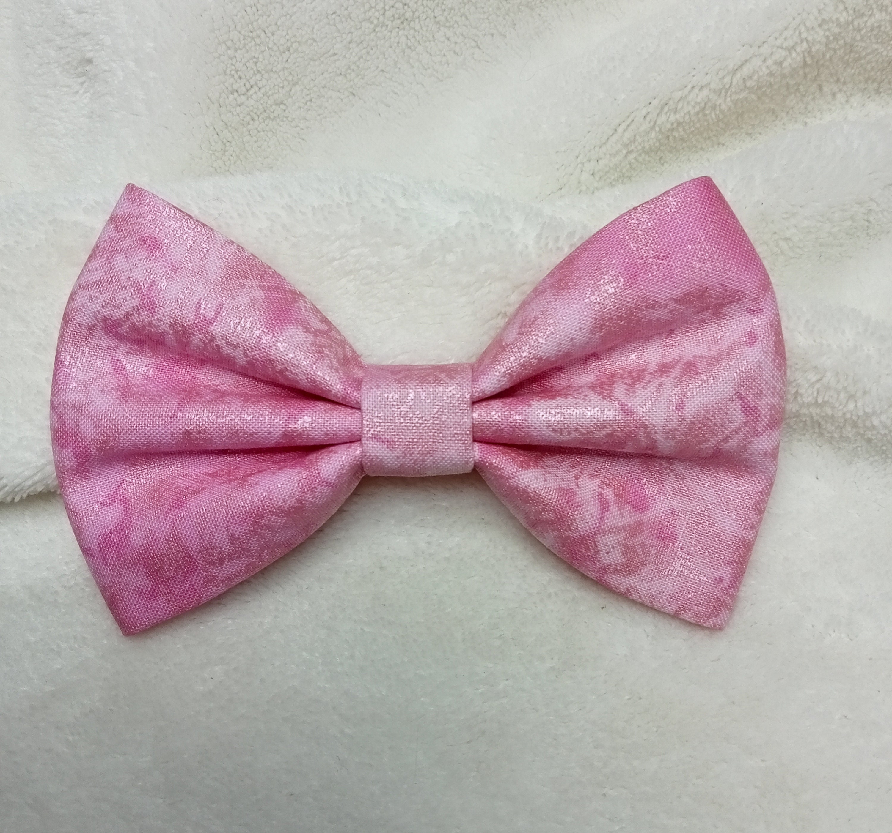 cat dickie bow