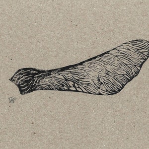 A6 stampa linoleografica originale di semi di sicomoro