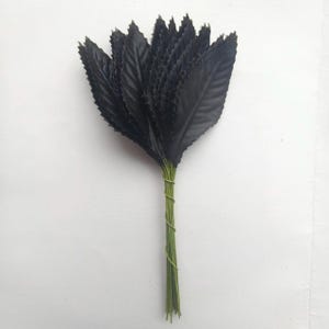 Könnte beinhalten: Ein Bündel schwarzer Kunstblätter, jedes mit gezacktem Rand, mit grünem Draht zusammengebunden. Die Blätter sind fächerförmig angeordnet und bilden einen optisch auffälligen floralen Akzent. Die Blätter haben eine tiefe, einfarbige schwarze Farbe.