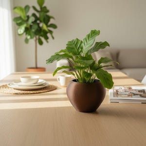 Op de afbeelding: Een plant met levendige groene bladeren staat in een gladde, afgeronde donkerbruine plantenbak. De plant heeft brede, getextureerde bladeren met opvallende nerven en staat centraal op een lichtgekleurd houten oppervlak.
