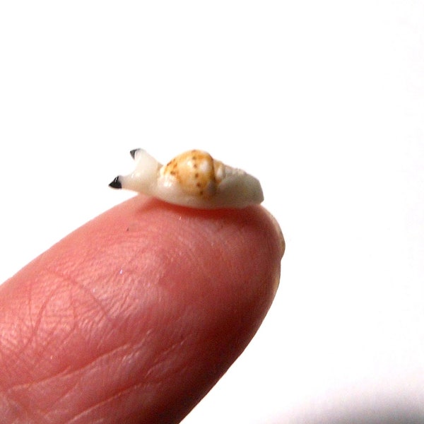 World's Smallest Glow Snail-Tiny Glow Snail-Polymer Clay Snail