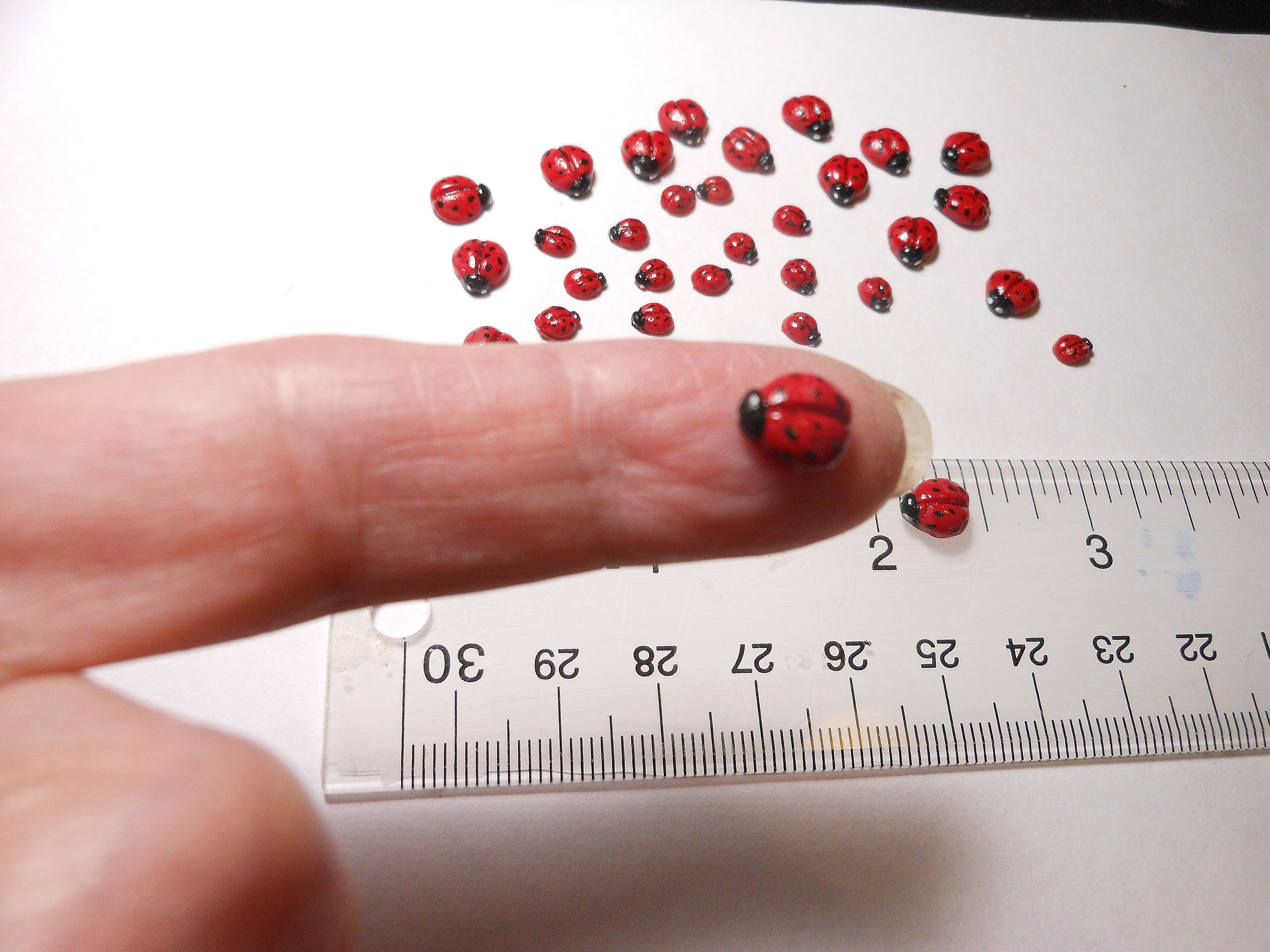 Ladybugs-tiny 3/16