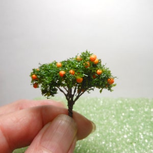 May include: A miniature orange tree with green leaves and small orange fruit. The tree is approximately 10 cm tall and is being held in a hand.