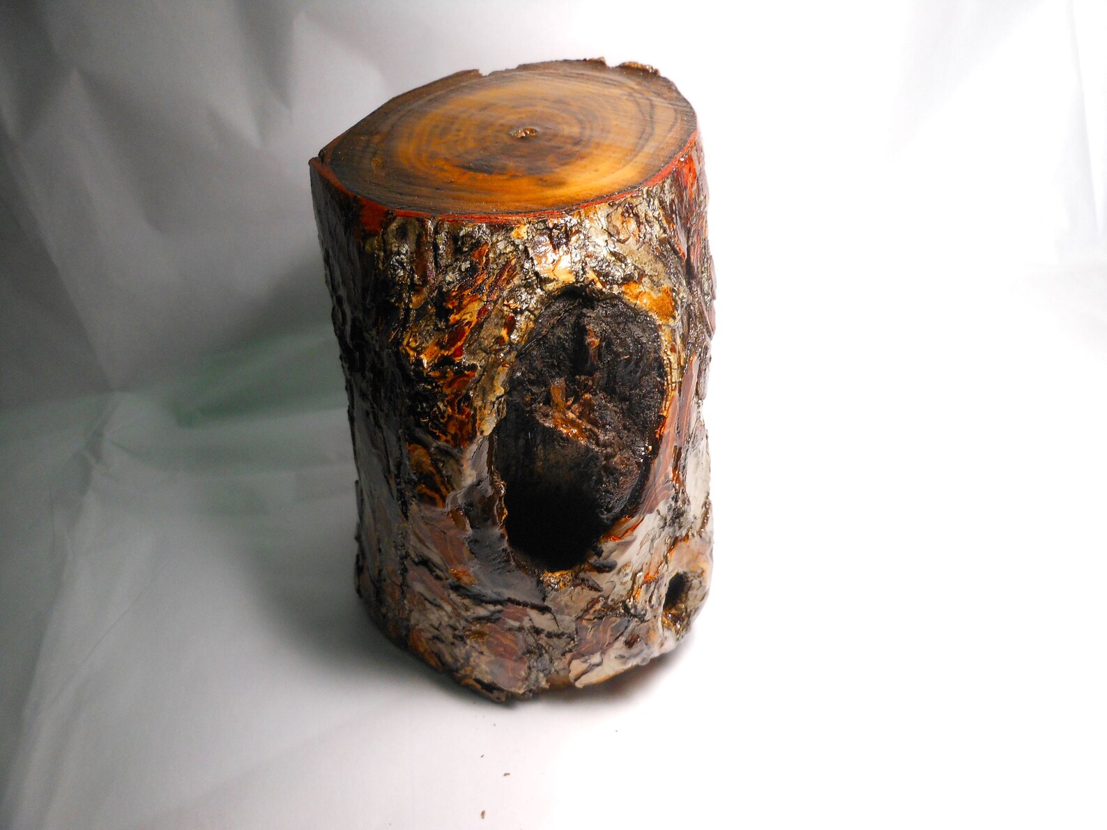 Tree Stump Dipped in Polyurethanecraft Tree Stump4 1/2 Etsy