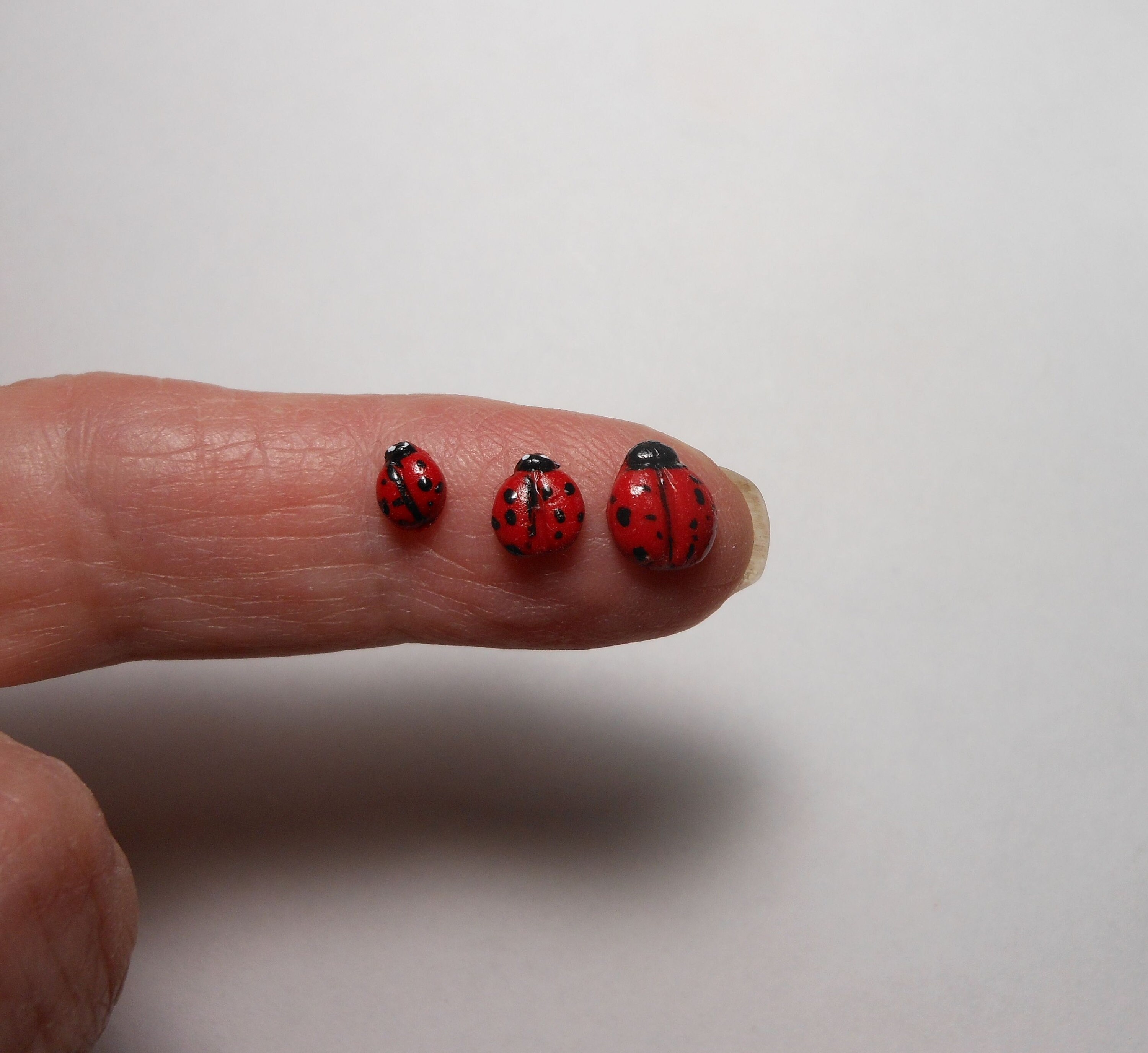 3個中の3 Ladybug様レンジ ヤマダモール | ミラキュラス レディバグ&シャノワール ドレス