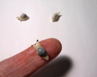 Snails- Set of 3 Teeny Tiny Polymer Clay 3/8" Glow in the Dark Snails-Made to Order