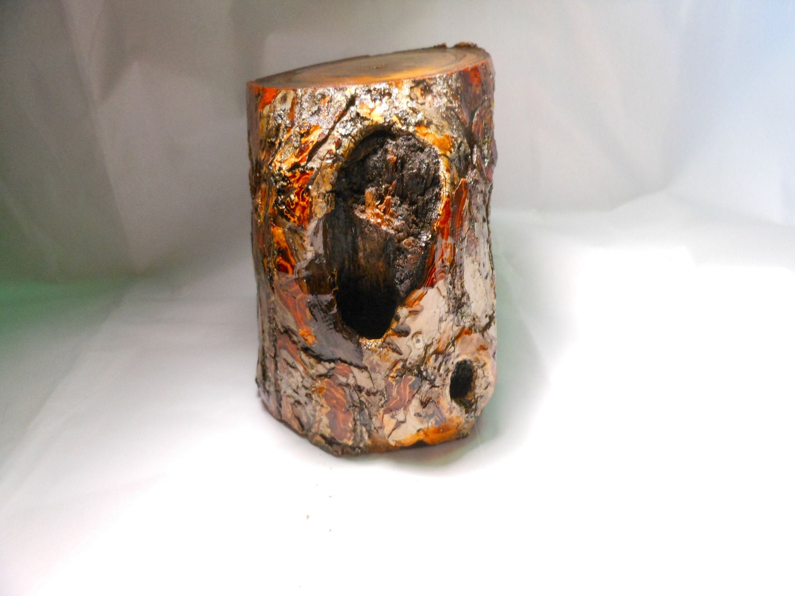 Tree Stump Dipped in Polyurethanecraft Tree Stump4 1/2 Etsy